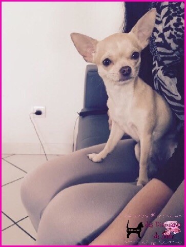 Publication : Des Diamants De Jade