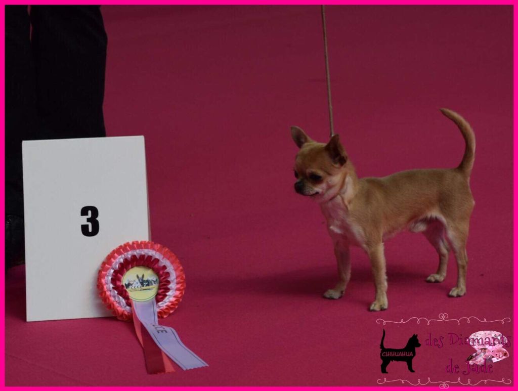 Publication : Des Diamants De Jade