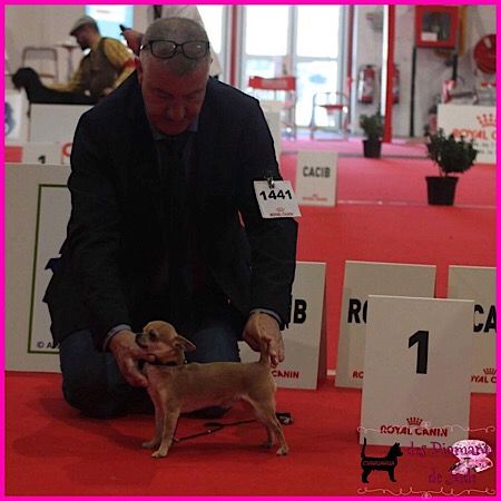 Publication : Des Diamants De Jade