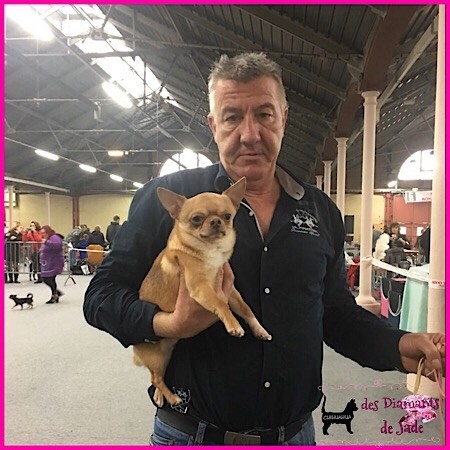 Publication : Des Diamants De Jade Auteur : manon parrot