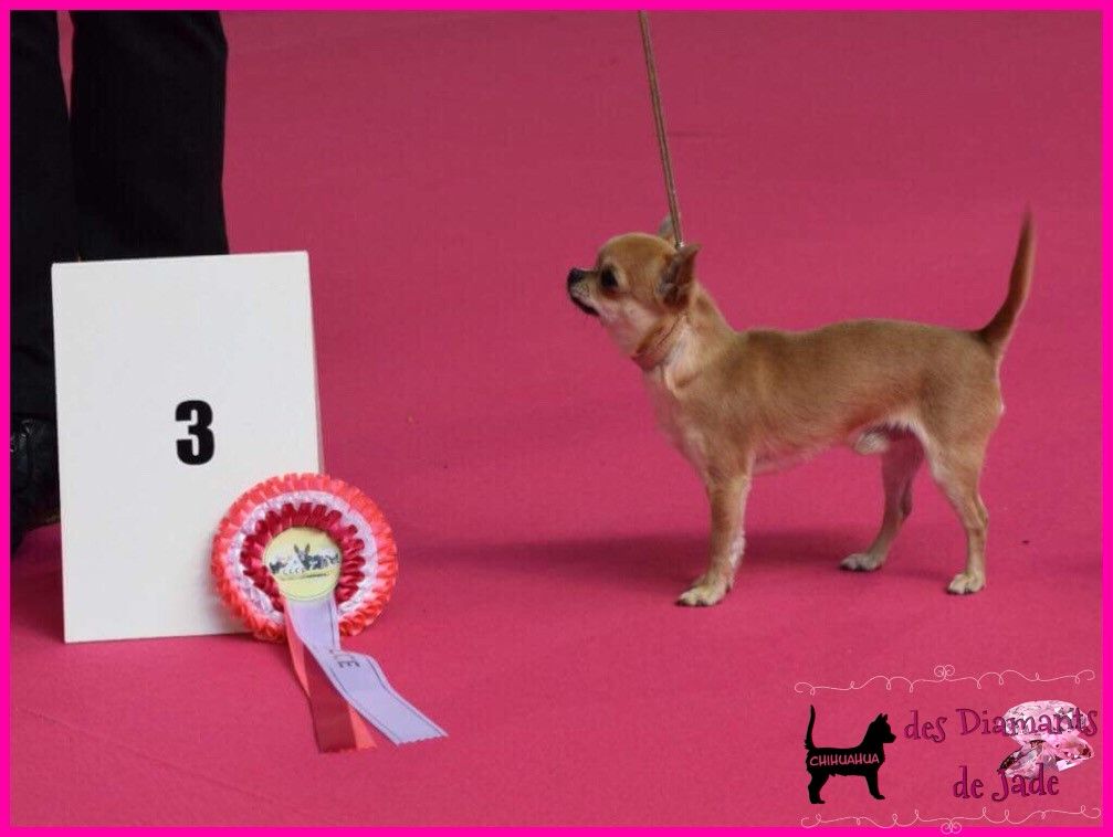 Publication : Des Diamants De Jade