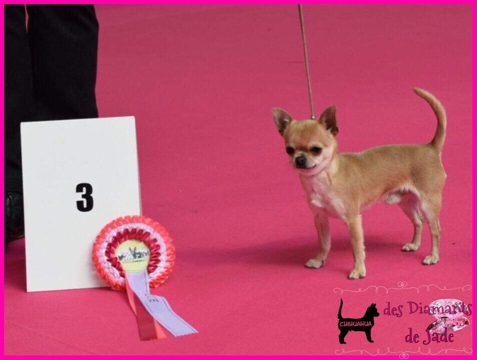 Publication : Des Diamants De Jade