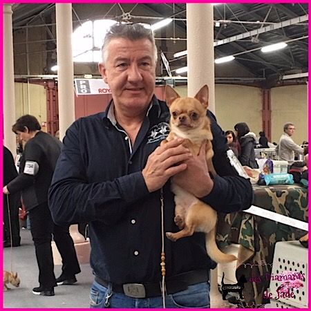 Publication : Des Diamants De Jade Auteur : manon parrot