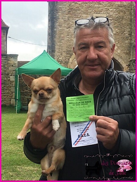 Publication : Des Diamants De Jade Auteur : manon parrot