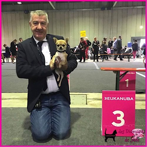 Publication : Des Diamants De Jade