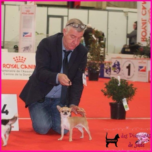 Publication : Des Diamants De Jade