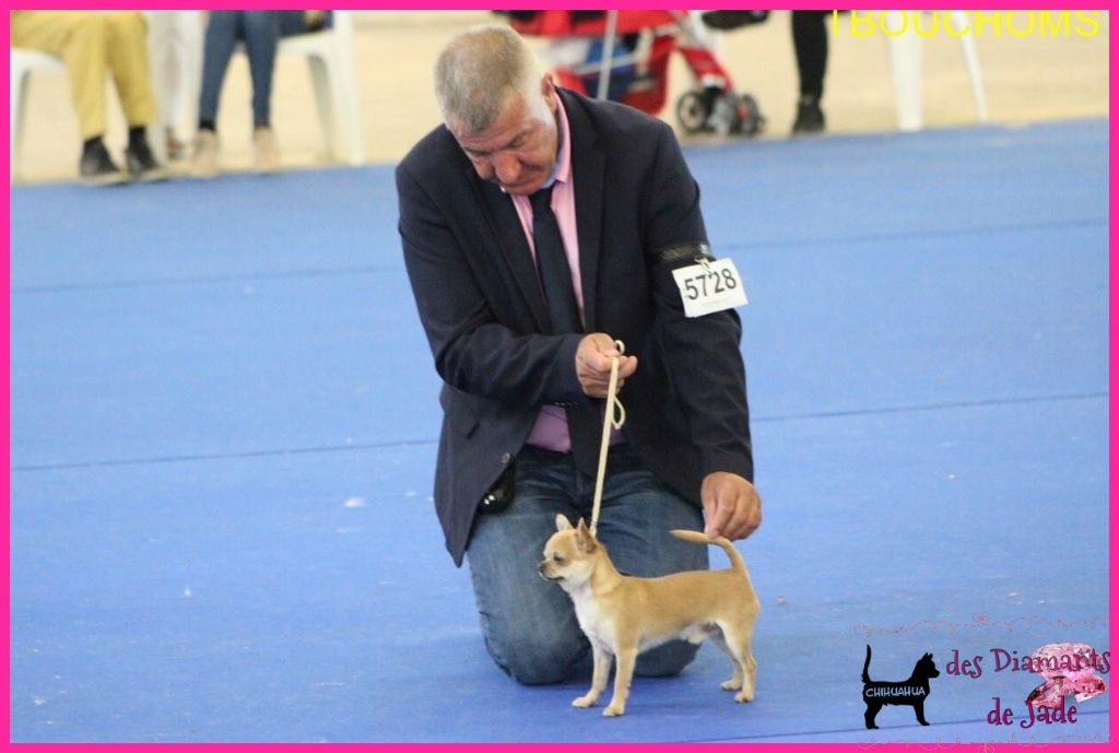 Publication : Des Diamants De Jade