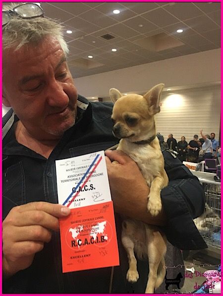 Publication : Des Diamants De Jade