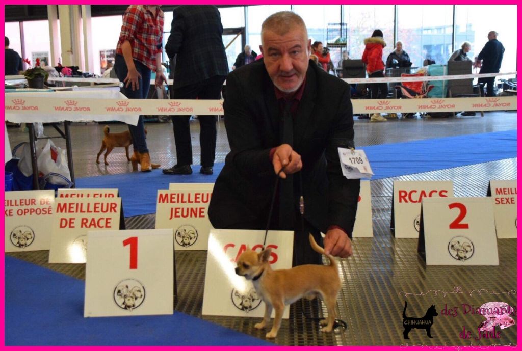 Publication : Des Diamants De Jade