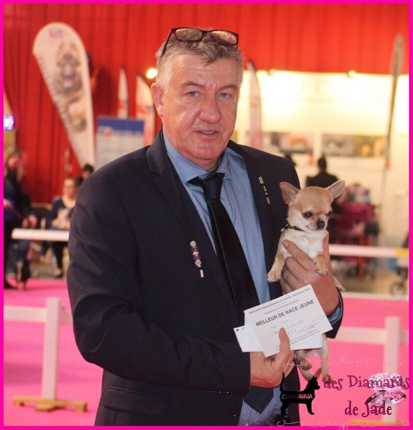 CH. Naransito du domaine san sébastian - Meilleur jeune de la race BOJ