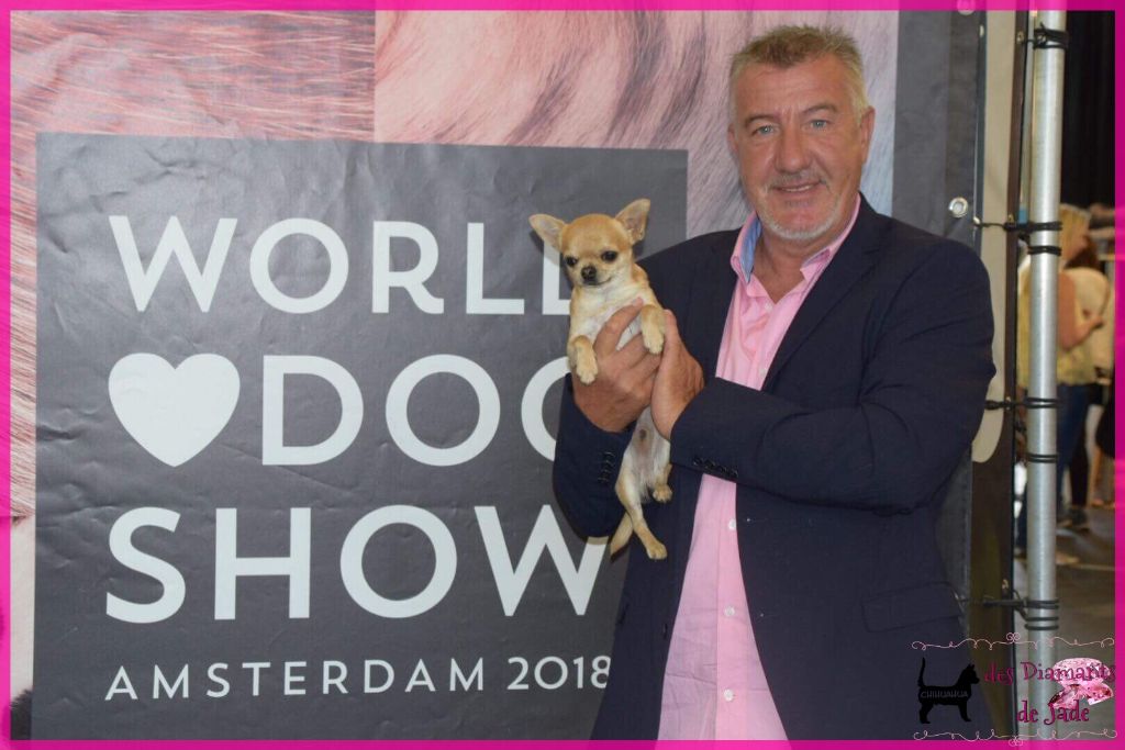 CH. Naransito du domaine san sébastian - Excellent NC, classe jeune mâle