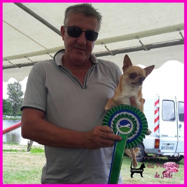 TR. Little iwok (lemon) De L'Eden Des Petits Precieux - 1er excellent, classe ouverte mâle