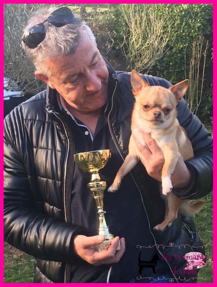 TR. Little iwok (lemon) De L'Eden Des Petits Precieux - 3eme excellent, classe ouverte mâle