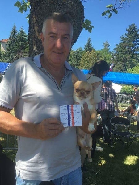 TR. Little iwok (lemon) De L'Eden Des Petits Precieux - R.C.A.C.S, classe ouverte male