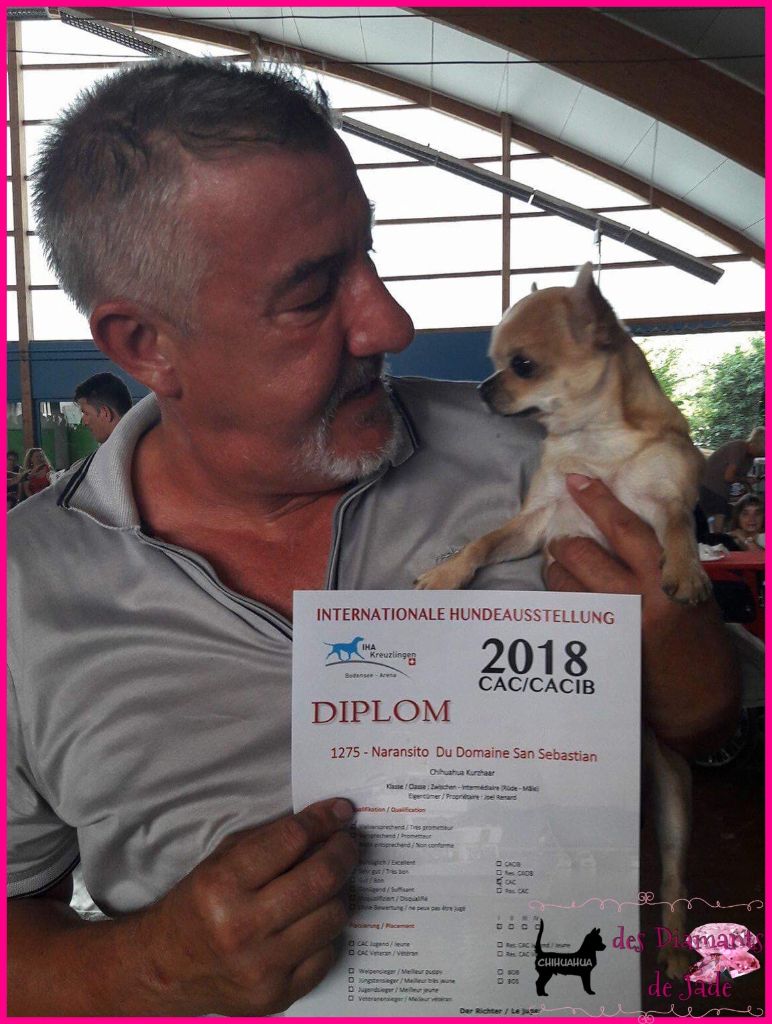 CH. Naransito du domaine san sébastian - 1er excellent CAC, classe intermédiaire mâle