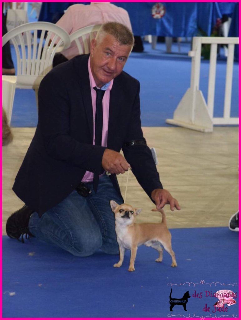 CH. Naransito du domaine san sébastian - 4ème excellent, classe jeune mâle