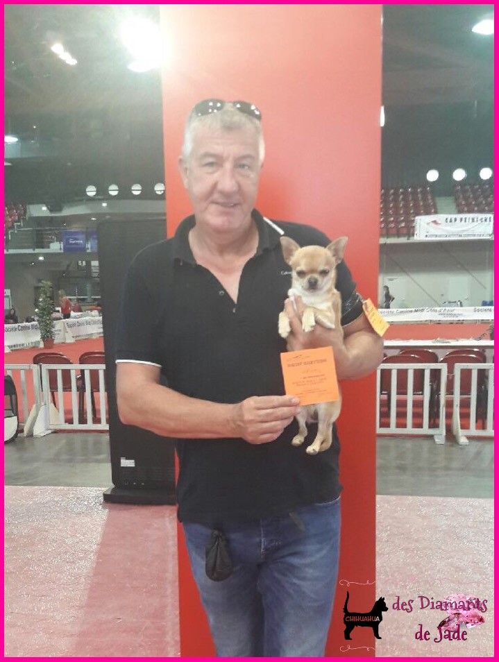 CH. Naransito du domaine san sébastian - Meilleur jeune de la race BOJ