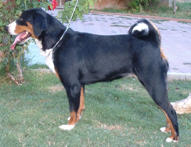 Publication : ca' del corsi