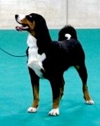 Publication : ca' del corsi