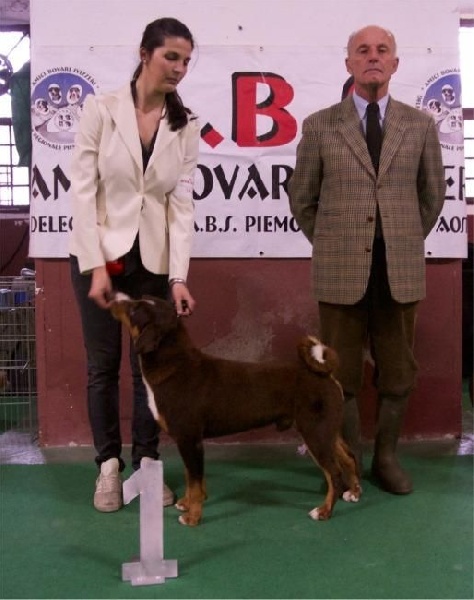 CH. Bruno (Sans Affixe)