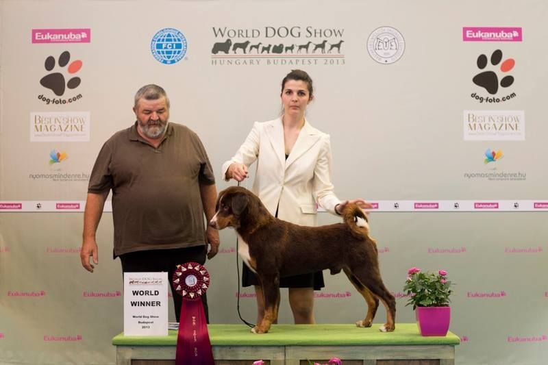 CH. Bruno (Sans Affixe)