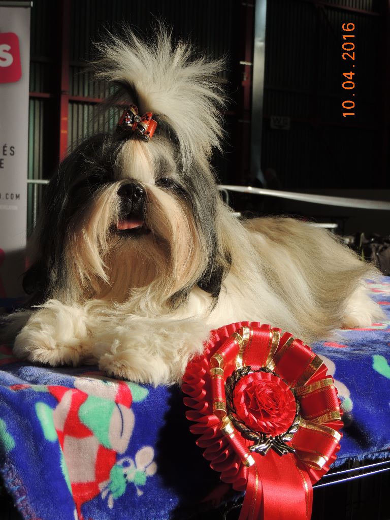 Publication : Des Trésors De Kailash Auteur : GAUTHIER OSSANT NATHALIE