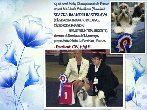 Publication : Des Trésors De Kailash Auteur : GAUTHIER OSSANT NATHALIE