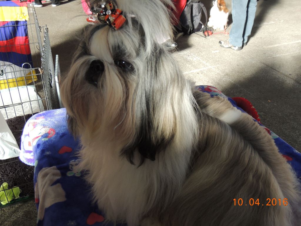 Publication : Des Trésors De Kailash Auteur : GAUTHIER OSSANT NATHALIE