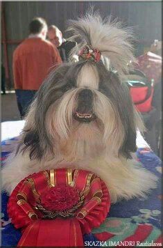 Publication : Des Trésors De Kailash Auteur : GAUTHIER OSSANT NATHALIE