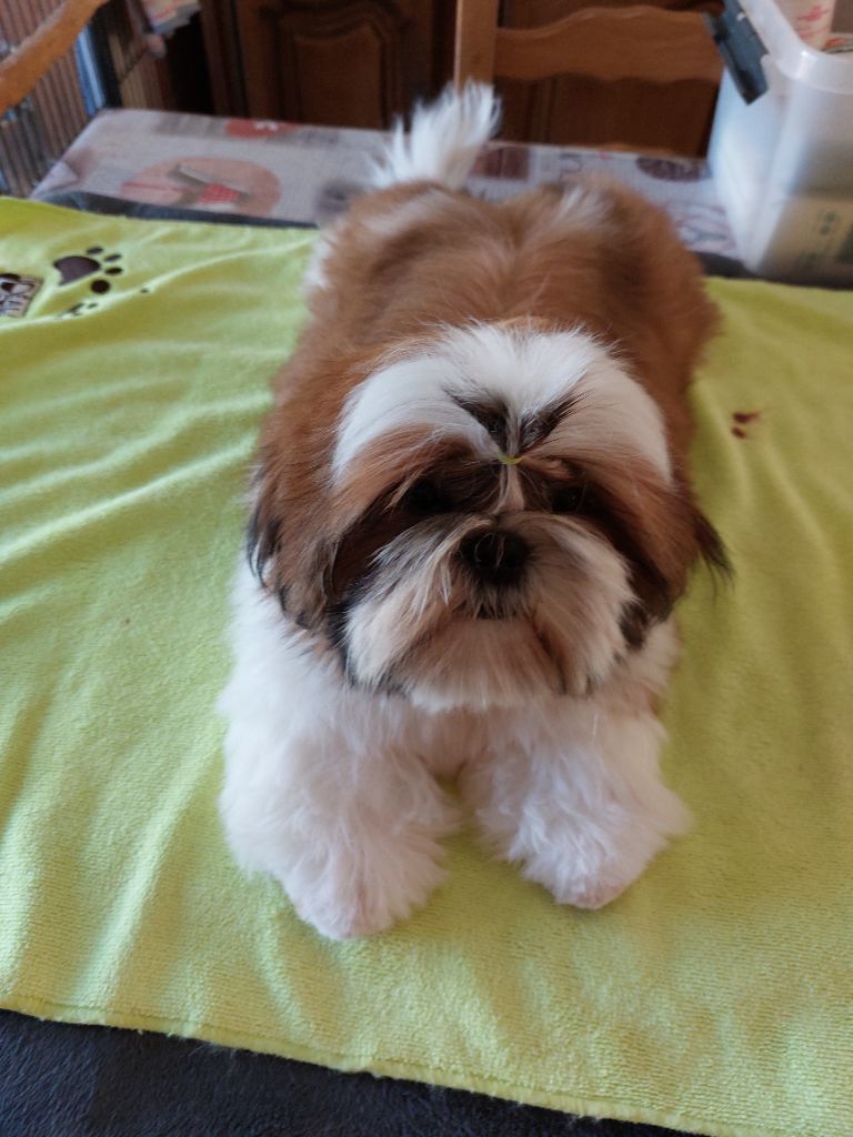 solaris avis Y'paparazzi dit takeo