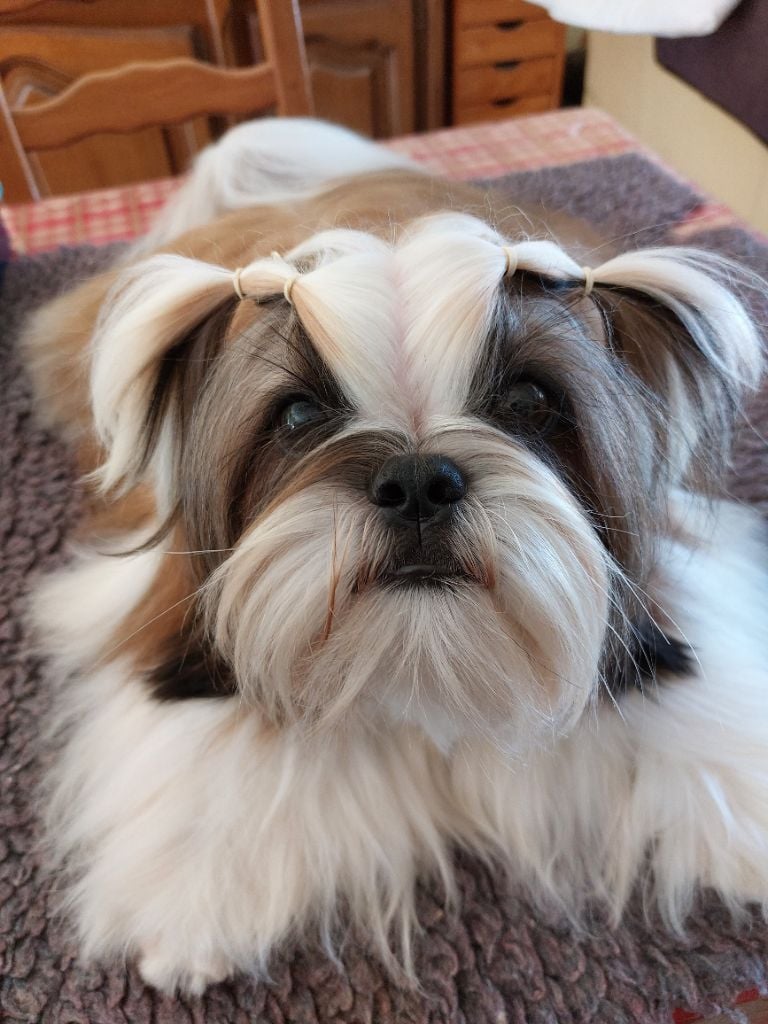 solaris avis Y'paparazzi dit takeo