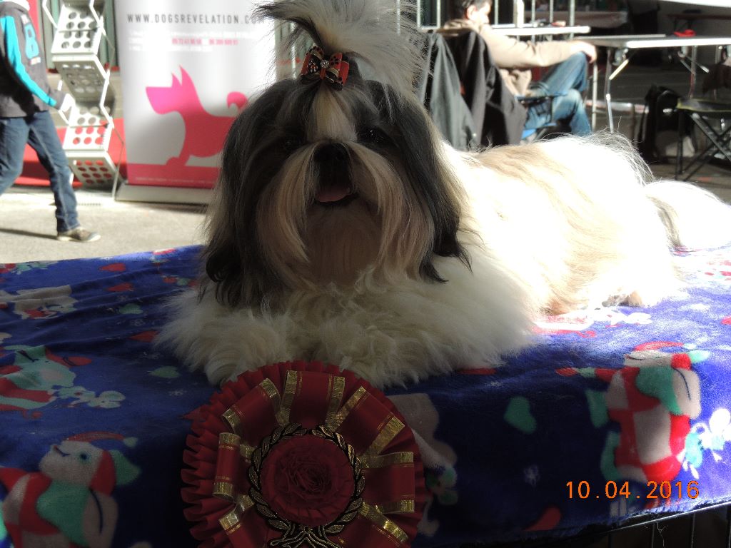 Publication : Des Trésors De Kailash Auteur : GAUTHIER OSSANT NATHALIE