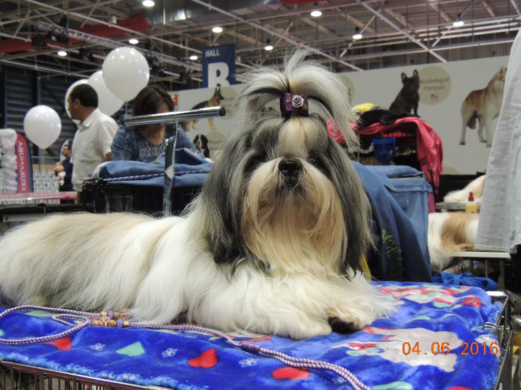 Publication : Des Trésors De Kailash Auteur : GAUTHIER OSSANT NATHALIE