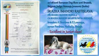 Publication : Des Trésors De Kailash Auteur : GAUTHIER OSSANT NATHALIE