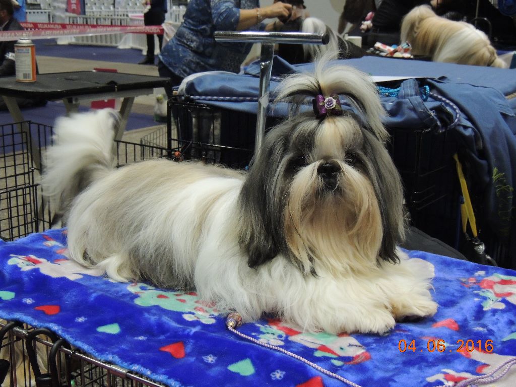 Publication : Des Trésors De Kailash Auteur : GAUTHIER OSSANT NATHALIE