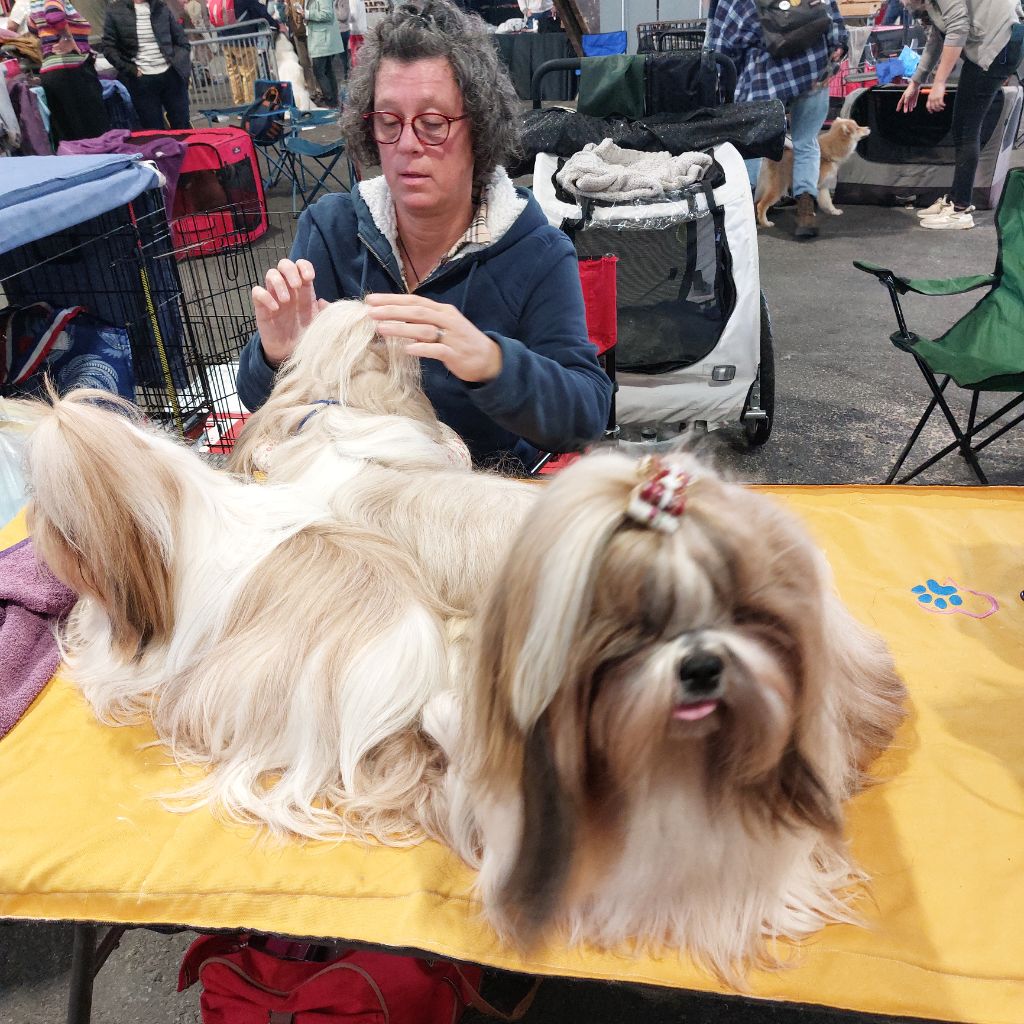 solaris avis Y'marengo dit tess