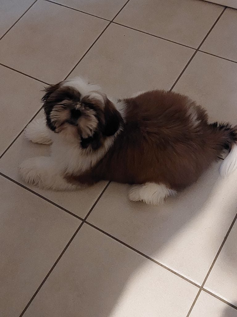 solaris avis Y'paparazzi dit takeo