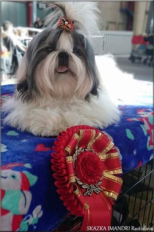 Publication : Des Trésors De Kailash Auteur : GAUTHIER OSSANT NATHALIE