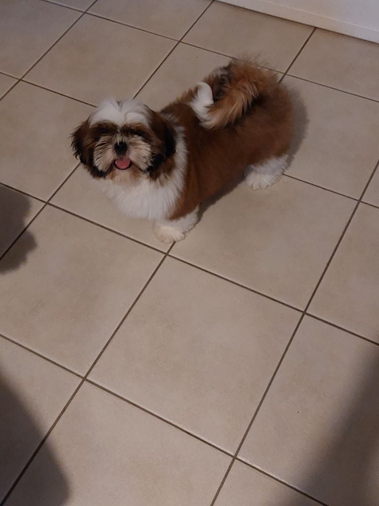 solaris avis Y'paparazzi dit takeo