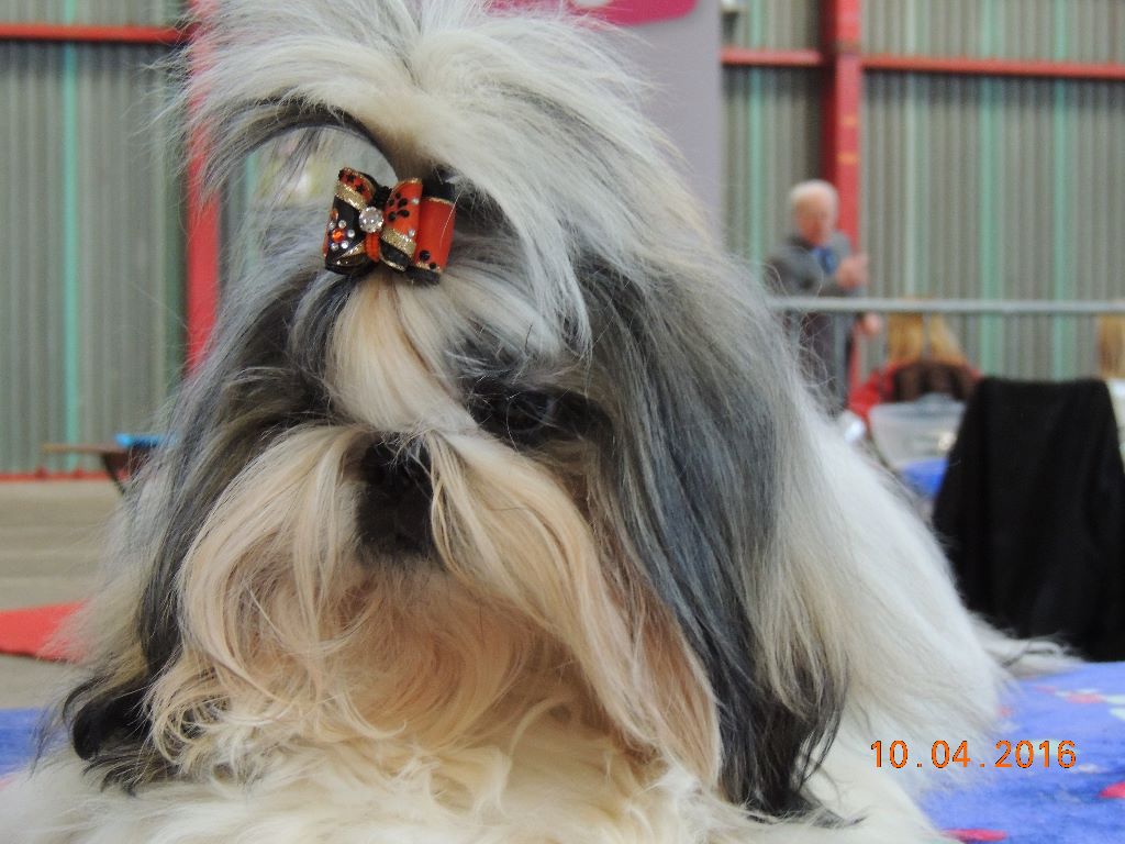 Publication : Des Trésors De Kailash Auteur : GAUTHIER OSSANT NATHALIE