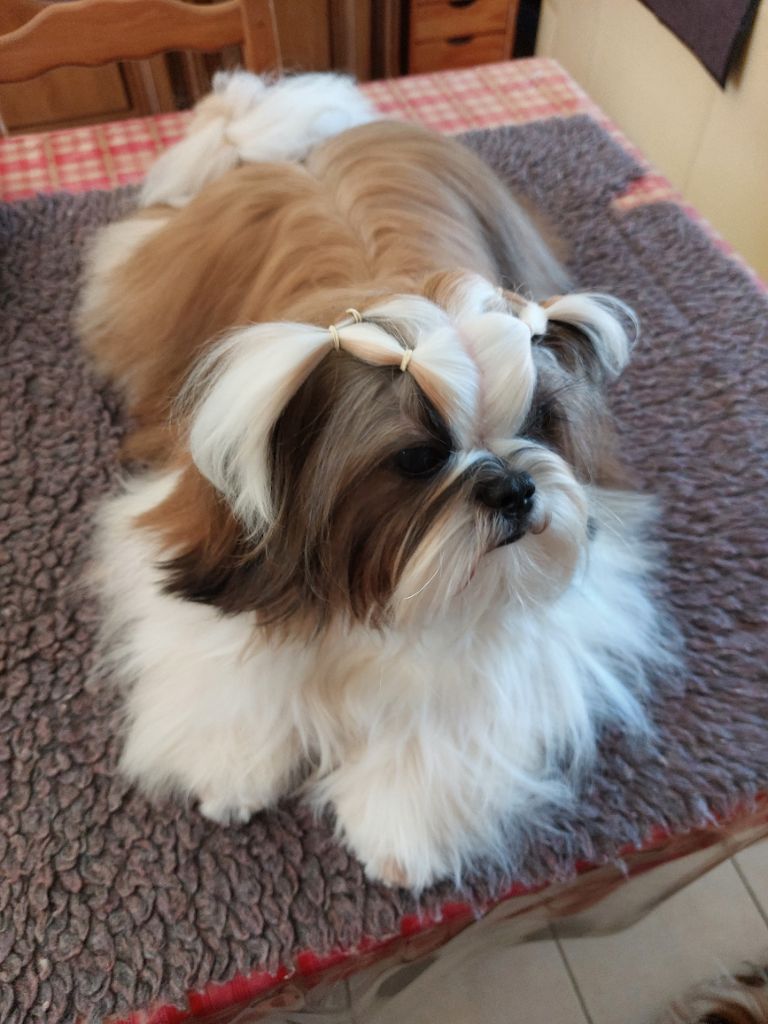 solaris avis Y'paparazzi dit takeo