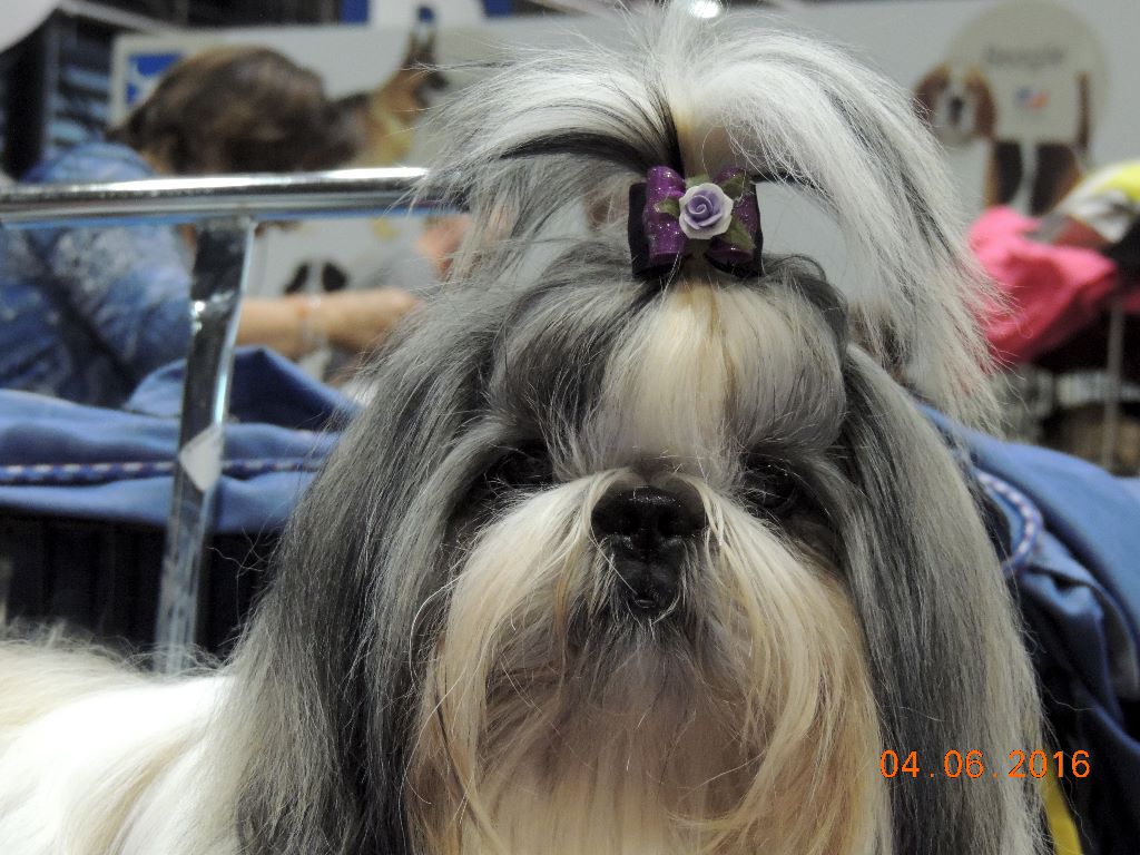 Publication : Des Trésors De Kailash Auteur : GAUTHIER OSSANT NATHALIE