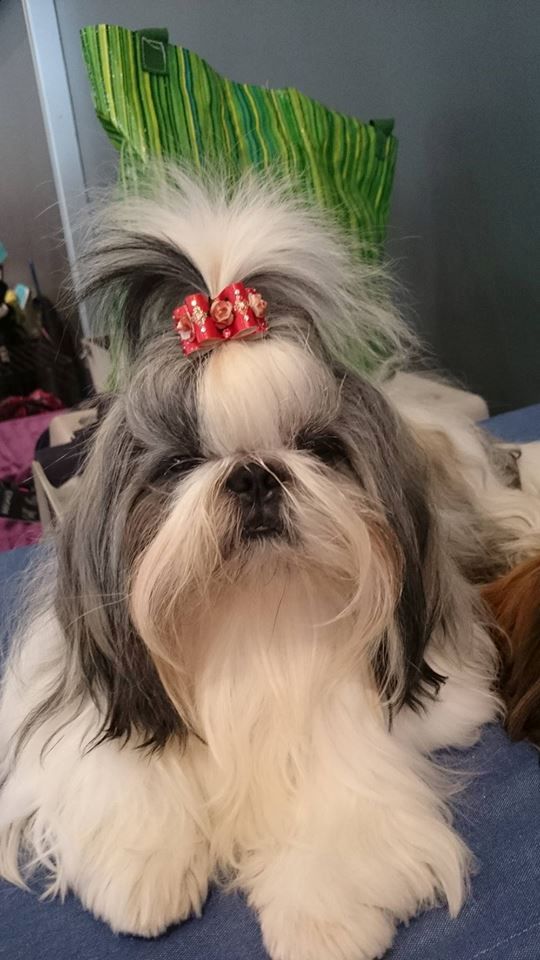 Publication : Des Trésors De Kailash Auteur : GAUTHIER OSSANT NATHALIE