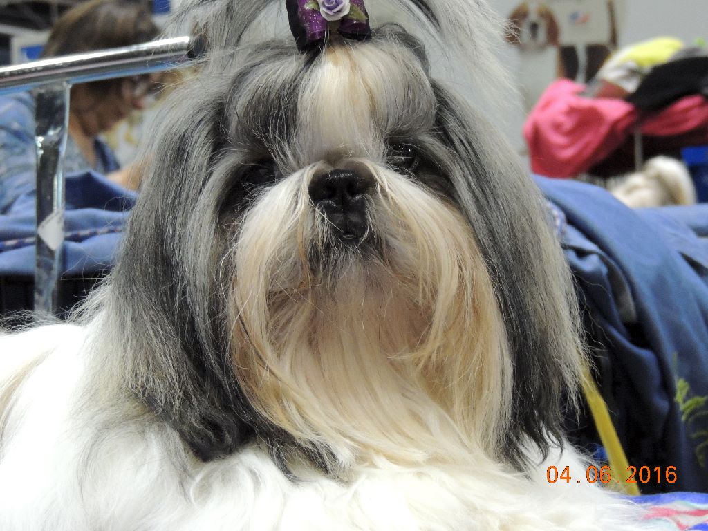 Publication : Des Trésors De Kailash Auteur : GAUTHIER OSSANT NATHALIE