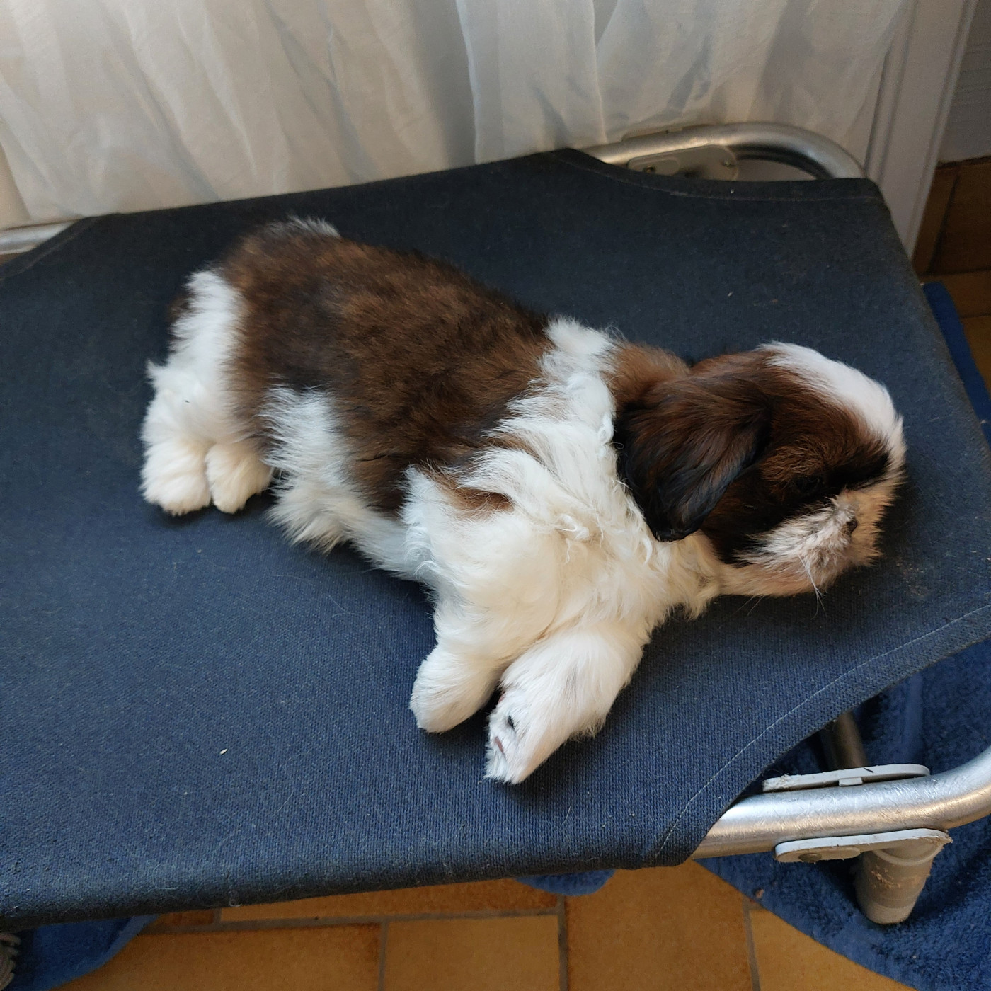 AÏKO DES TRESORS DE KAÏLASH MALE 02