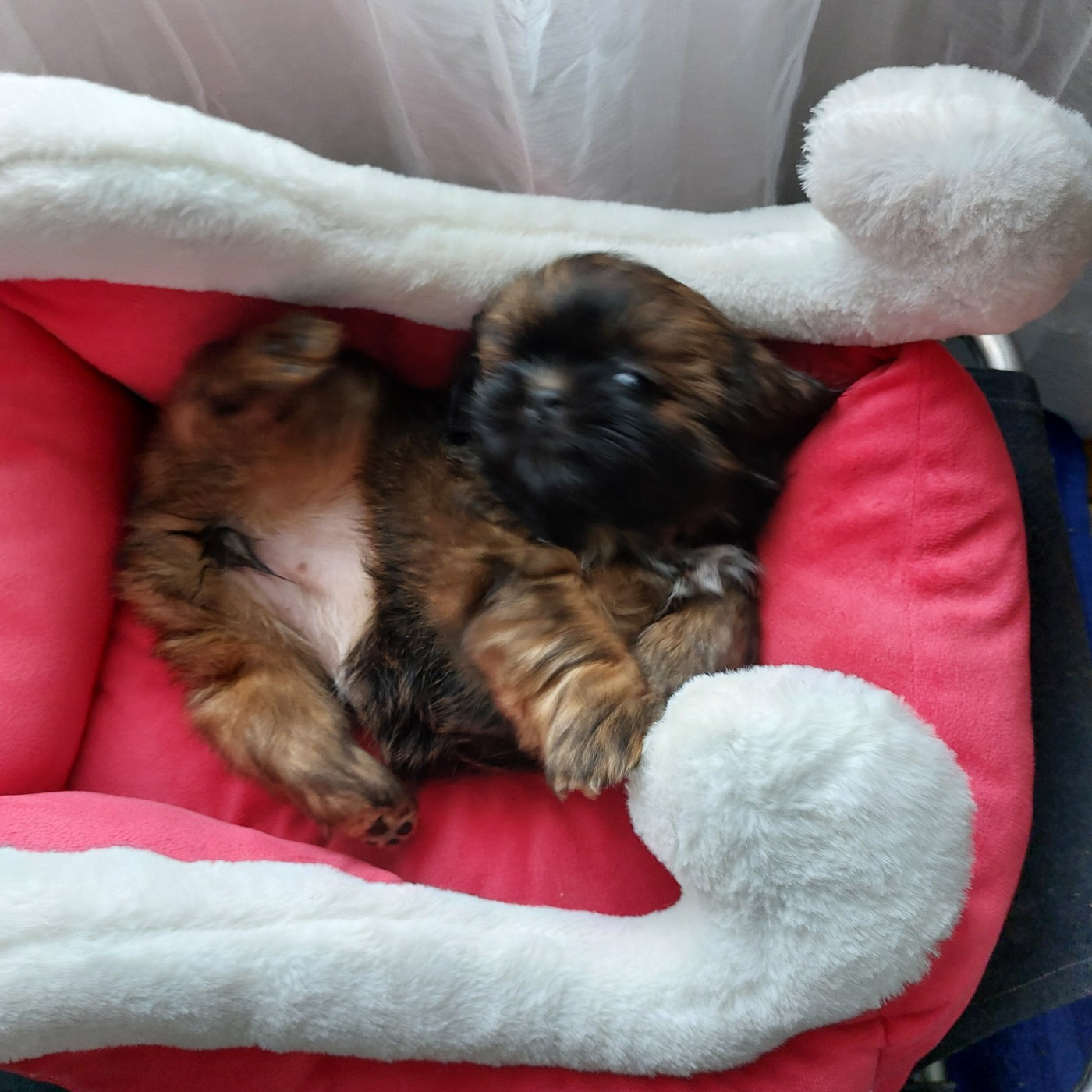 ALANA MEI LAN collier orange