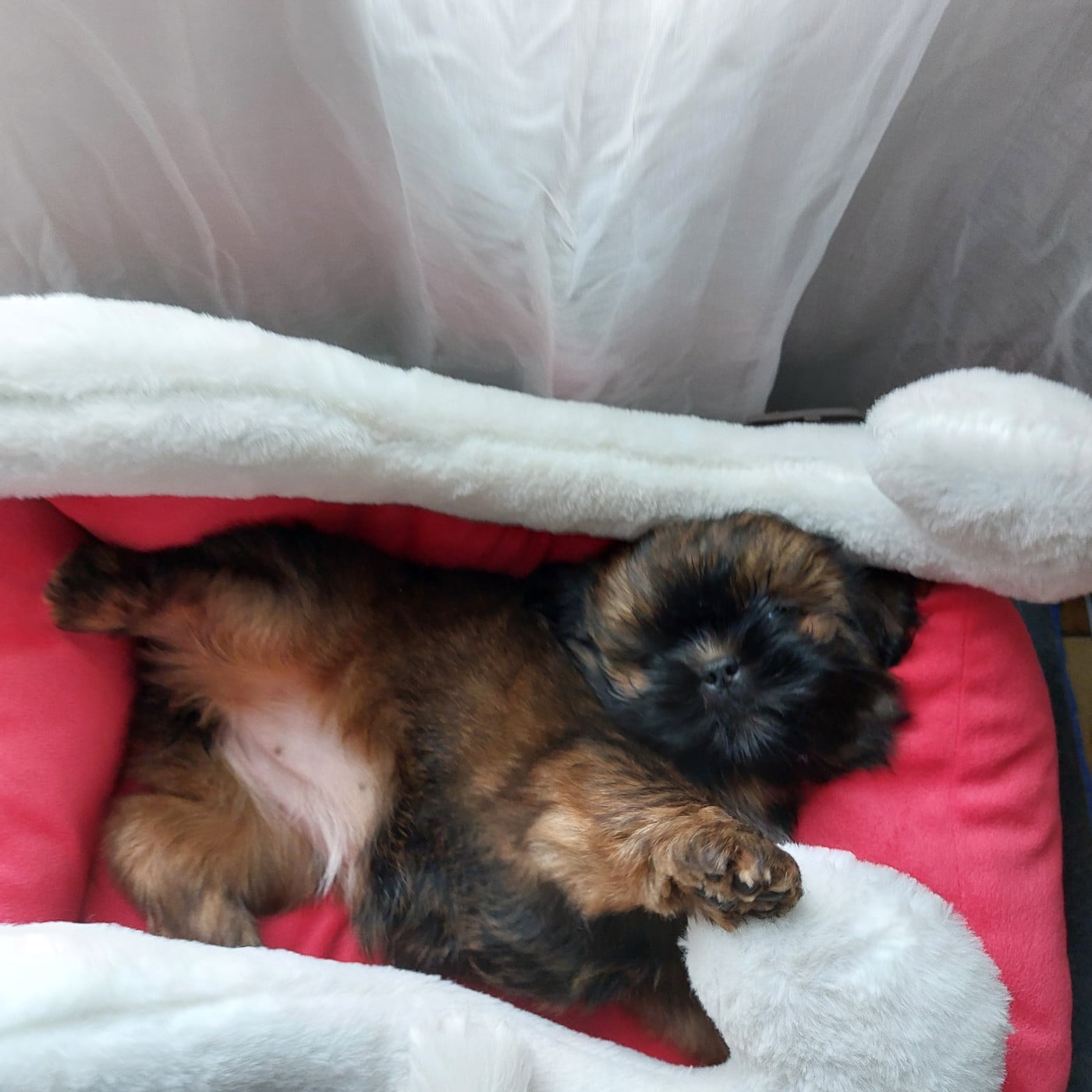 ALANA MEI LAN collier orange