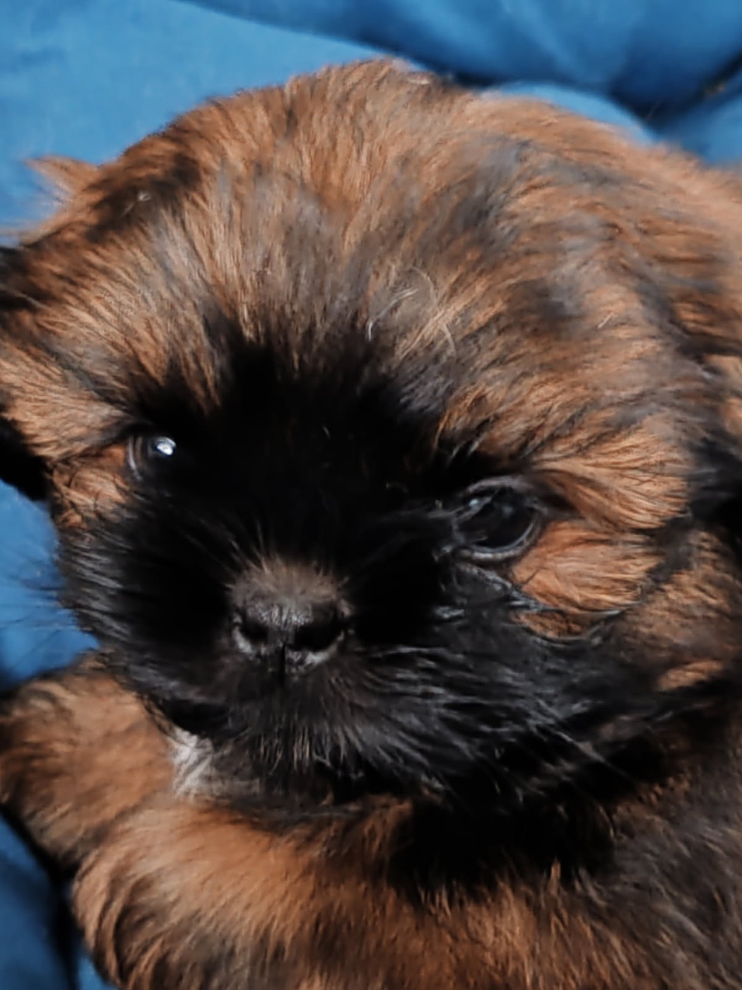 AIMEE MEI LAN DES TRESORS DE KAÏLASH