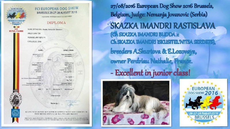 skazka imandri Rastislava - CLASSE JUNIOR / EXCELLENT NON CLASSE