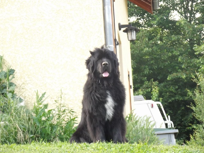 Génésis des Seigneurs de l'Odyssée